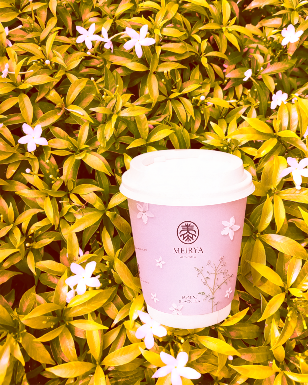 Jasmine Black Tea - Cup Collection